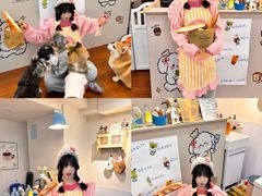 -汪说·狗咖·拼豆·宠物周边DIY(旺城大厦店)
