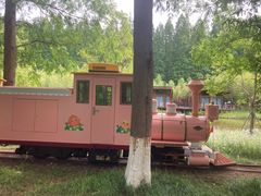 -黄海国家森林公园