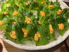 -初花·日本料理