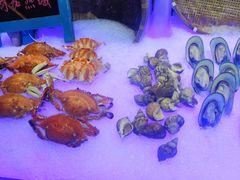 -长沙三景韦尔斯利酒店·Oval全日制餐厅自助餐