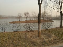 -东郊湿地公园