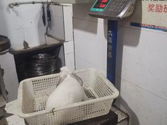 -东吴霸王兔(松青路店)