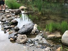 -白河湾生态旅游一条川