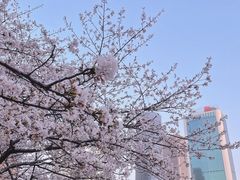 -西北湖绿化广场