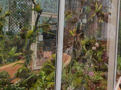 -国家植物园南园