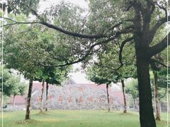 -上海海湾国家森林公园