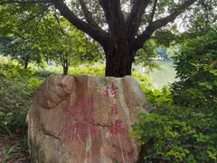 -海珠湖公园