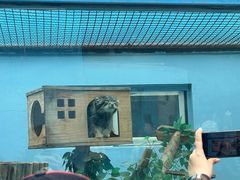 -青藏高原野生动物园