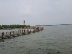 -溱湖国家湿地公园