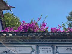 -云南民族村