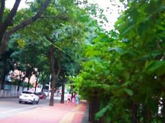 -东风公园