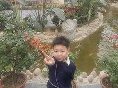 -兴芮温泉度假区