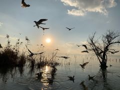-捞渔河湿地公园