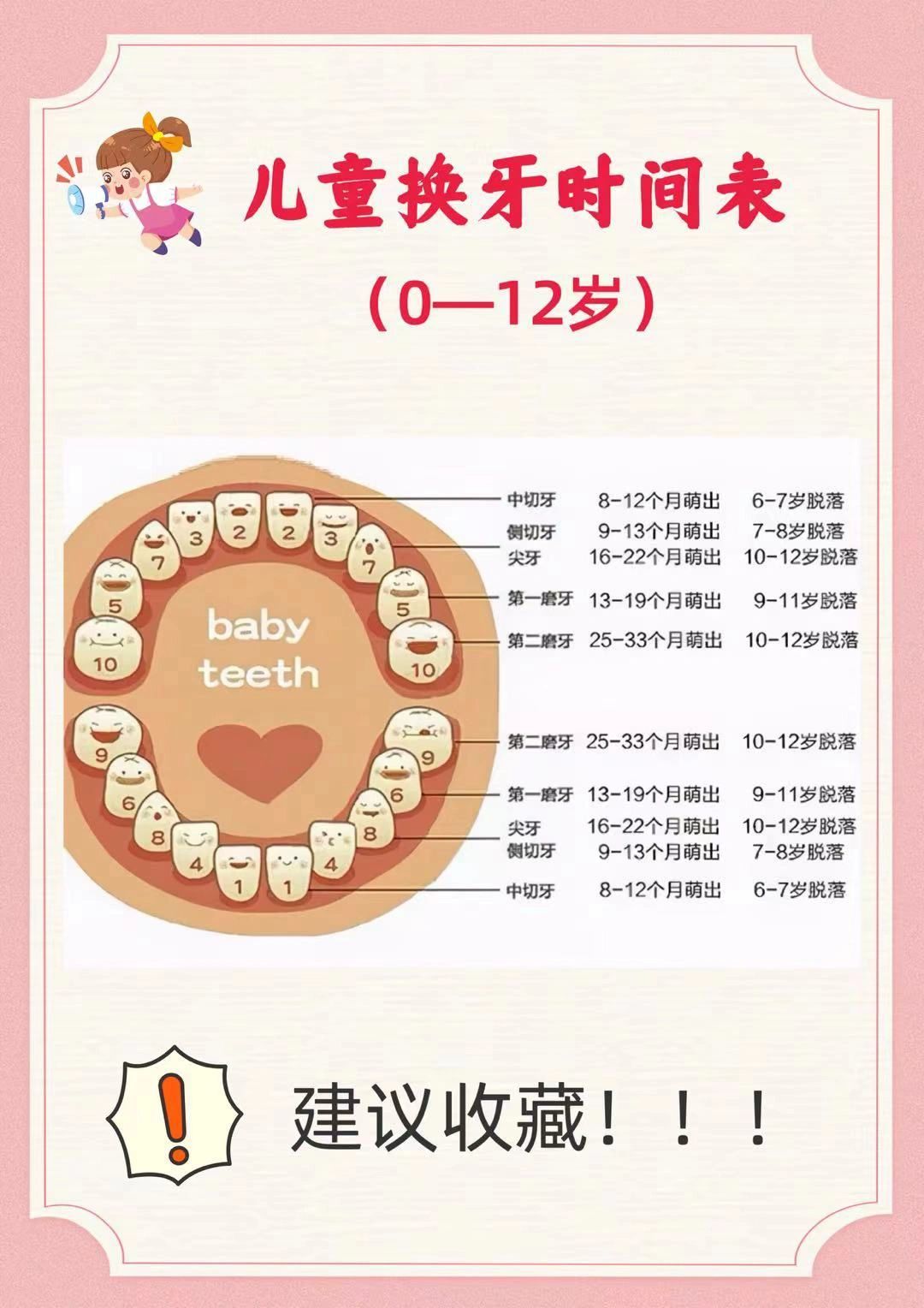 5岁萌出)上下左右各5颗一共20颗,这部分牙齿全部都会换
🌟图二这