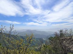 -王顺山国家森林公园