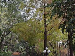 -荔枝公园(福田区)
