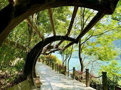 -三峡人家风景区