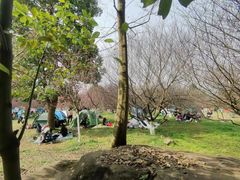 -白鹭湾湿地公园