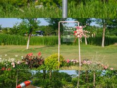 -佛手湖郊野公园