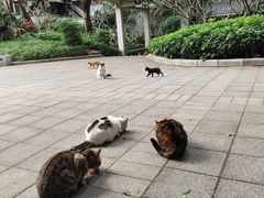 -晓港公园