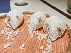 -点都德·毕德寮
