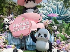 -灵玲国际马戏城
