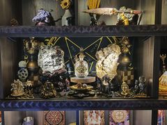 -雪灵魔法世界SHELLY’S TAROT(大良桂畔里店)