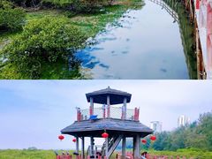 -北海金海湾红树林生态旅游区