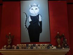 -猫色咖啡·猫咖
