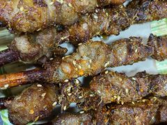 红柳-鸽子窝(青塔店)