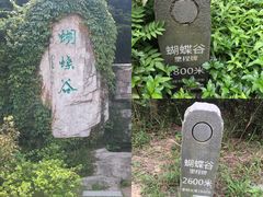 -梧桐山风景名胜区