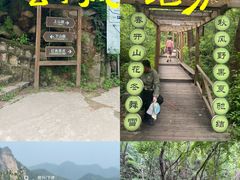-大岭沟猕猴桃谷风景区