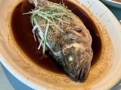 清蒸鲈鱼-郑州烤鸭总店