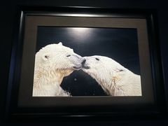 -罗红摄影艺术馆