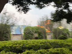 -国龙大酒店-中餐厅