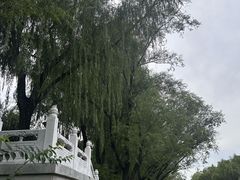 -南长河公园