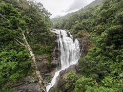 -海南热带雨林国家公园吊罗山景区