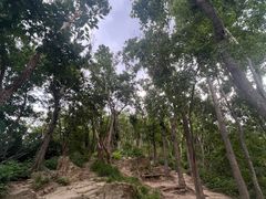 -紫金山山顶公园