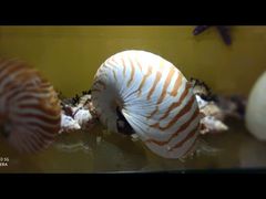 -多彩贵州城极地海洋世界