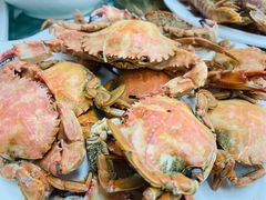 -烁佳海鲜大馅饺子