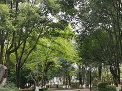 -重庆彩云湖湿地公园