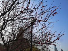 -利顺德大饭店·维多利亚花园(小白楼店)