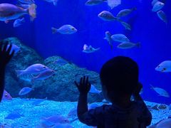 -成都浩海立方海洋公园