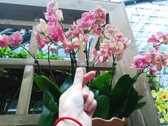 -南山植物园