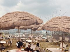-桃源山庄·水蜜桃采摘·柴火鸡·烧烤团建(龙泉山店)