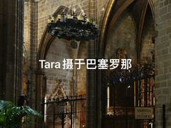 -巴塞罗那主教座堂