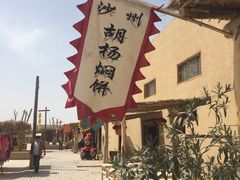 -沙洲胡杨焖饼