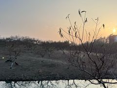 -乌村