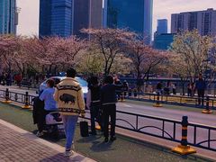 -西北湖绿化广场