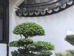 -绮园景区